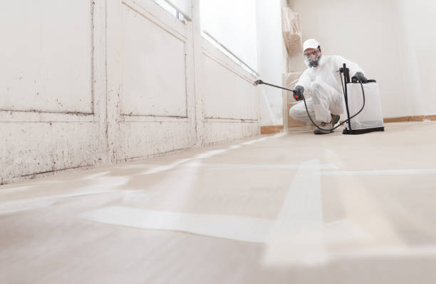 24/7 Emergency Black Mold Remediation experts in Oak Ridge, NC