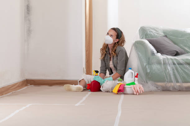 Reliable Black Mold Remediation contractor in Oak Ridge, NC by Car Mold Remediation