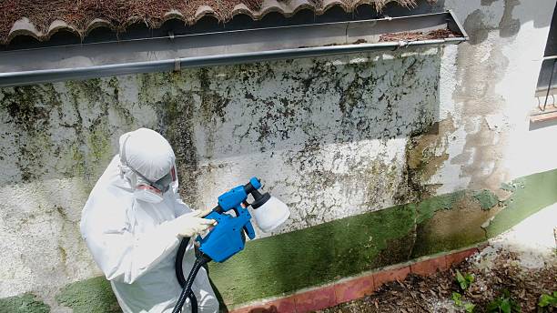 Top rated local Black Mold Remediation specialists in Oak Ridge, NC